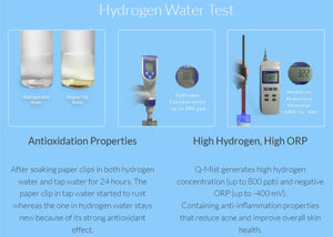 Q-Mist Hydrogen Water Diffuser Black